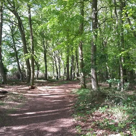 Dom wakacyjny Komfort Nr *