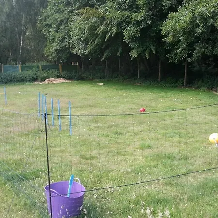 Dom wakacyjny Komfort Nr *