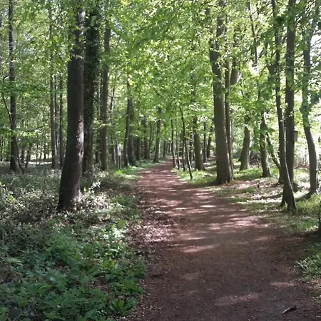 Komfort Nr Kellenhusen