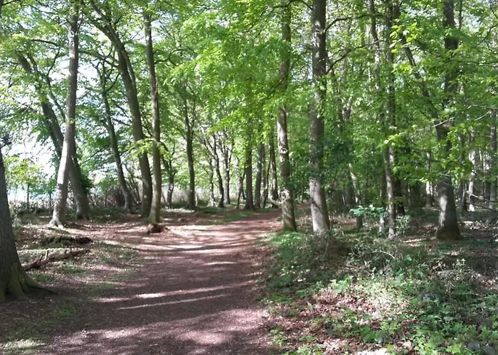 Vakantiehuis Komfort Nr *